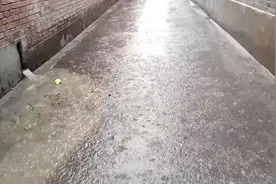 山西晋中突下暴雨，这么大的雨在秋季还第一回下，院子一会成水潭