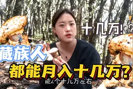 实拍西藏高海拔采松茸：藏族姑娘月入十几万，天不亮就起床爬山视频封面