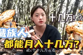 实拍西藏高海拔采松茸：藏族姑娘月入十几万，天不亮就起床爬山视频封面