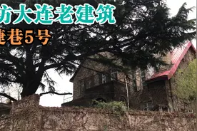 大连中山区连捷巷一处精美的老房子，古树历史竟然比老建筑还久？视频封面