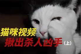 加拿大留学生被害案件始末视频封面