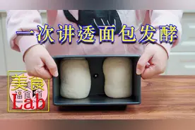 【美食LAB】面包发酵完全指南，发酵就再也不会有问题了！