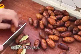 吃蚕蛹为何致人休克？专家敲警钟：这类人群无福享受|新闻大求真视频封面