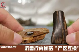 一小块沉香动辄上万元，不少消费者被宰，小掌柜：这事让我来！视频封面