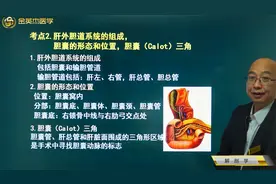 解剖学02消化系统07肝02肝外胆道系统，胆囊形态位置、胆囊三角