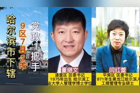 哈尔滨市下辖9区7县2市党委书记，有两个美女区县一把手视频封面