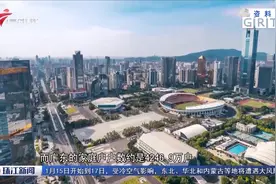 全国“一人户”家庭超1.25亿 广东最多视频封面