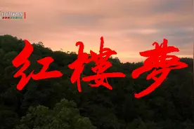 名著经典，陈力含泪演唱的8首87版《红楼梦》主题曲插曲视频封面