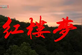 名著经典，陈力含泪演唱的8首87版《红楼梦》主题曲插曲视频封面