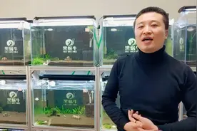 观赏水晶虾一个月繁殖几窝视频封面