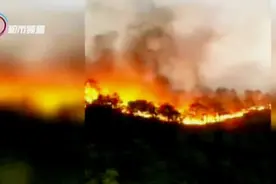 龙池山突发森林火灾 西翥街道桃园片区10千伏供电线路避险断电视频封面