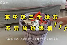 不管家里有多大，这三个地方不要放垃圾桶，不是迷信，涨知识了视频封面
