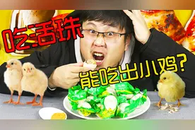 这种鸡蛋被人叫做“活珠”，据说里面有未出生小鸡，这是真的吗？视频封面