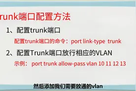 【怎样制作动画短视频】如何将一个端口划分到一个VLAN中？视频封面