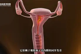 子宫内膜容受性是什么？怎么检查？【武汉高尚医学影像】视频封面