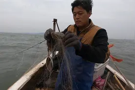 阿阳出海捕鱼居然捞到“古董”，看样子感觉很值钱，赶紧回家鉴定视频封面