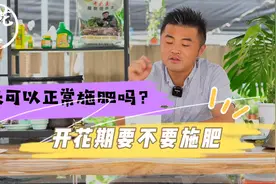 夏天可以正常施肥吗？开花期要不要施肥？养花必懂小知识视频封面