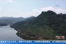 新洲区率先在全市实现河湖长制责任全覆盖视频封面