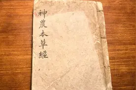 神农本草记载的中药种类，跟一年的天数一样，里面暗藏玄机！