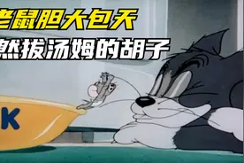 猫和老鼠搞笑配音：小老鼠胆大包天，居然敢拔汤姆的胡子视频封面