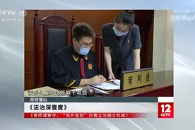 打官司时 隐私谁能查?律师调查令 “尚方宝剑”亦需立法确立权威视频封面