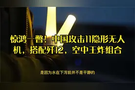 惊鸿一瞥！中国攻击11隐形无人机，搭配歼12，空中王炸组合视频封面