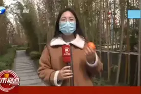沃桔“泡药水”2个月不会烂，果农自己都不敢吃？农业局紧急回应视频封面