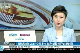 张弛：科创50ETF首日表现在预期之中 中长期看好 短期或有震荡视频封面