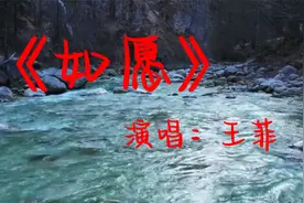 王菲《如愿》爱你所爱的人间  愿你所愿的笑颜