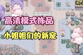 【星露谷物语】韩网小姐姐们的新宠：高清模式饰品~视频封面