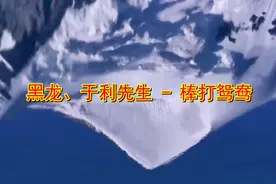 黑龙、于利先生一首《棒打鸳鸯》经典老歌，好听极了视频封面