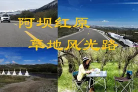 女司机自驾川西阿坝神座村，走红原草地风光路，一路风景看不够