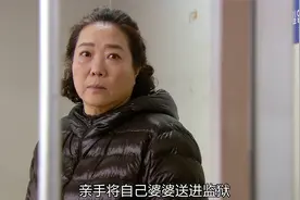 大结局：到底什么仇，可以让一位儿媳，亲手将婆婆送进监狱视频封面