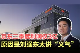 京东发布二季度财报，营收2538亿利润仅为3亿，原因竟然是讲义气视频封面
