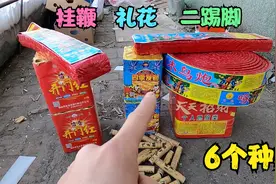 东北鞭炮真便宜，小伙花230元买一袋子，6个种类放2个看看响不响视频封面