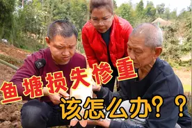 小伙在鱼塘放养鳄龟，没想到酿成大祸，被全家埋怨，这该怎么办？