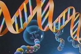 用蚊子治传染病？美国释放7.5亿只转基因蚊子，科学家：或酿惨祸