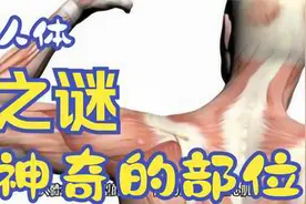 人体最神奇的部位，原来大家都有！视频封面