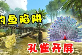 绿色地狱：用原始求生技巧，制作钓鱼陷阱，竟抓到价值不菲的孔雀