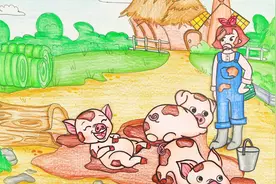 定格动画：小女孩成为饲养员，给小猪喂饭却被弄了一身泥视频封面