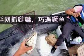 和小段去沙塘下丝网抓鲢鳙，意外收获几个鳜鱼，这下可开心坏了视频封面