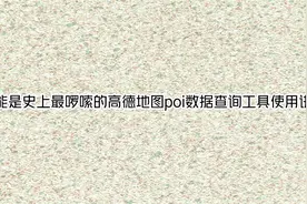 可能是史上最啰嗦的高德地图poi数据查询工具使用讲解【转载】视频封面