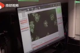 南财视频 | 默沙东新冠特效药来了？住院、死亡率降50%视频封面