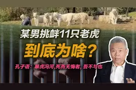 司马南：某男挑衅11只老虎，到底为啥？视频封面