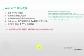 .NET报表控件视频教程：如何用WinForm集成及运行时数据源绑定视频封面