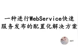 24. 一种进行WebService快速服务发布的配置化解决方案视频封面
