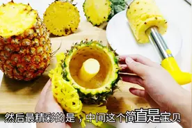 菠萝vs凤梨，实验测评“价格贵了三倍的凤梨”和菠萝相差在哪里视频封面