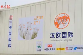 蒙古国捐赠的三万只羊怎么分？有答案了！视频封面