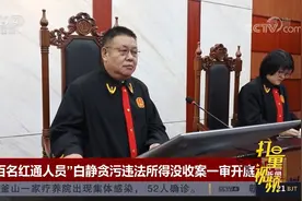 “百名红通人员”白静贪污违法所得没收案一审开庭|中国新闻视频封面