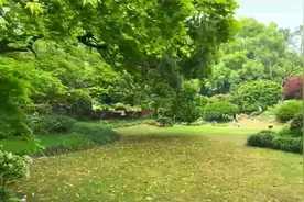 舒缓情绪轻音乐：要克服漫长的白日梦视频封面